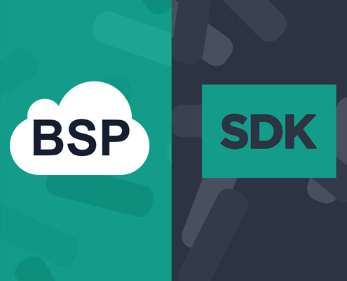 BSP&SDK