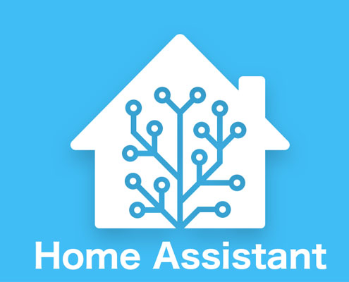 home assitant