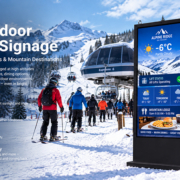 55 digital signage display